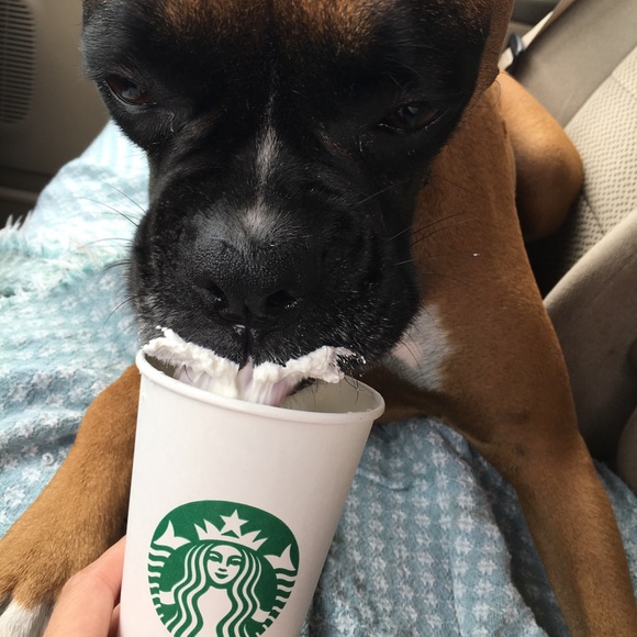 Meet your Posher, Katrina - Picture 1 of 1